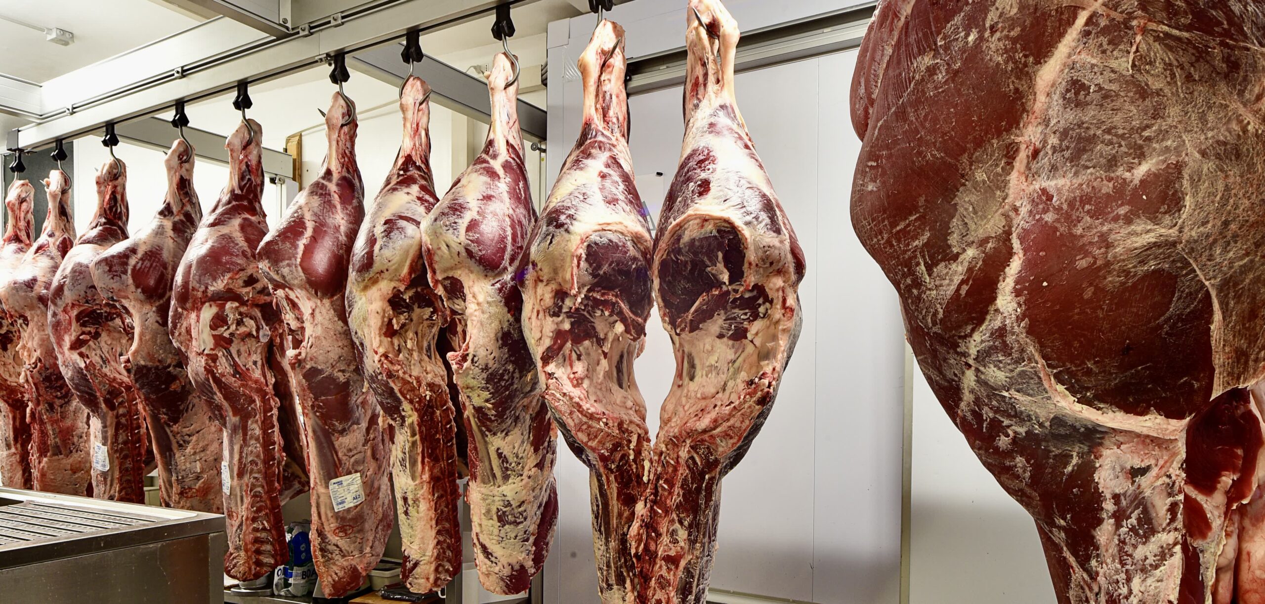 Le nostri carni accuratamente selezionate